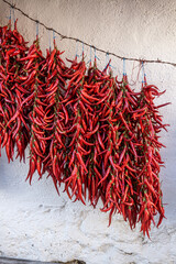 Red Peppers Hanged Against Wall