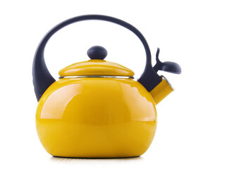 Traditional stainless steel stovetop kettle with whistle