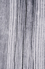 Obraz premium wooden log