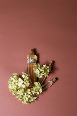glass perfume bottles with sprigs of hydrangea on a beautiful background