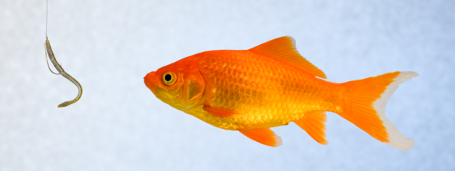 Yet another phishing scam