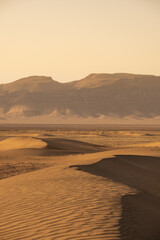 Fototapeta na wymiar conjunto de dunas en el desierto y al fondo montañas