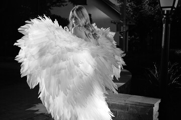 big angel wings