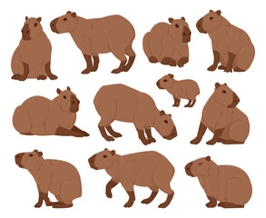Cartoon capybara. Cute capybaras, funny semi-aquatic wild animals, herbivore mammal hydrochoerus flat vector illustration set. Capybara rodent collection