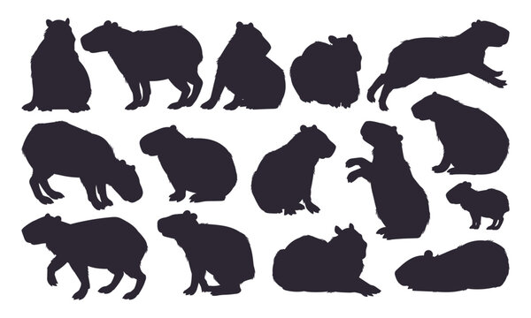 Capybara silhouettes. Semi-aquatic capybara wild animals cute animals, cute mammal hydrochoerus stencil flat vector illustration set. Capybara rodent silhouette collection