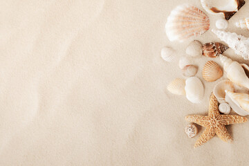 Fototapeta na wymiar Sandy beach with collections of white and beige seashells and starfish as natural textured background for summer travel design