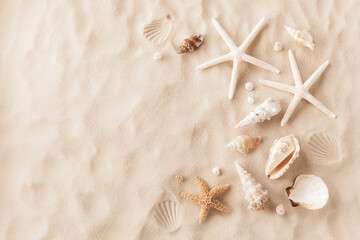 Sandy beach with collections of white and beige seashells and starfish as natural textured background for summer holiday and vacations concept.