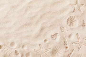 Top view of a sandy beach texture with imprints of exotic seashells and starfish as natural textured background - obrazy, fototapety, plakaty