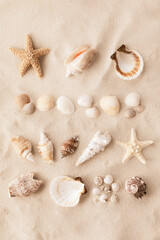 Exotic collections of white and beige seashells and starfish on sand background for aesthetic summer poster.