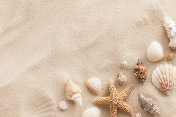 Fototapeta na wymiar Top view of a sandy beach with collection of seashells and starfish as natural textured background for aesthetic summer design