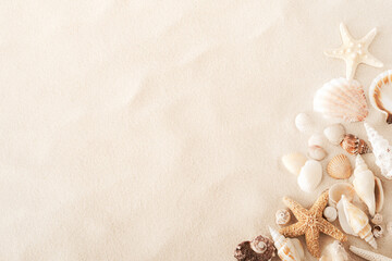 Obraz premium Top view of a sandy beach with collection of exotic seashells and starfish as natural textured background for aesthetic summer design
