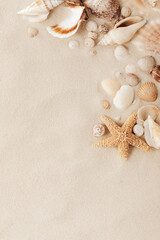 Fototapeta na wymiar Sandy beach with collections of seashells and starfish as natural textured background for summer travel design