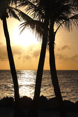 Sunset #1 from Fort Zachary Beach, Key West, January 2023