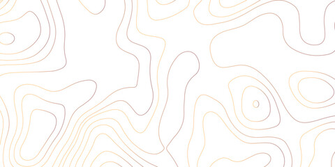 Topographic map background geographic line map with elevation assignments. Modern design with White background with topographic wavy pattern design.paper texture Imitation of a geographical map shades