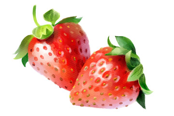 Two strawberries hand-painted watercolor illustration on transparent background