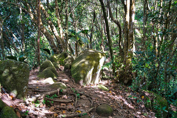Morn blanc nature trail, footpath, granite rocks between the trail, Mahe Seychelles