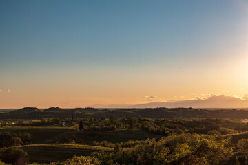 Spring sunset in the vineyards of Rosazzo