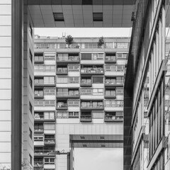 Modern Recidence - contemporary architecture