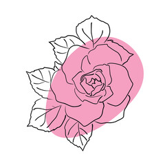 Hand-drawn vector illustration of a rose with leaves and pink spots on a background