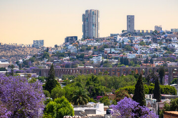 View of the city of Queretaro Mexico aqueduct with jacaranda tree