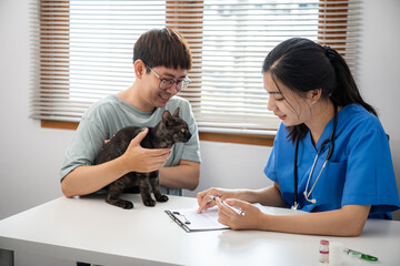 Professional vet doctor helps cat. owner cat holding pet on hands. Cat on examination table of veterinarian clinic. Veterinary care. Vet doctor and cat - obrazy, fototapety, plakaty
