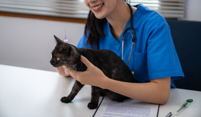 Obraz premium Vet surgeon. Cat on examination table of veterinarian clinic. Veterinary care. Vet doctor and cat