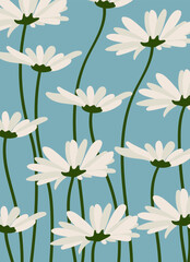 Daisy flower background.Eps 10 vector.