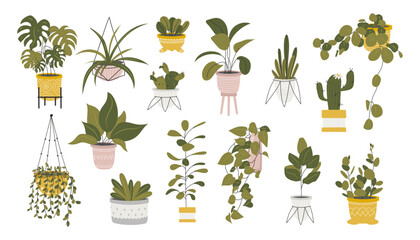 Collection of decorative houseplants isolated on white background. Bundle of trendy plants growing in pots or planters. Set of beautiful natural home decorations. Flat colorful vector illustration.