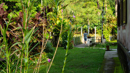 Jardim