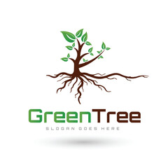 Tree vector logo this beautiful tree is a symbol of life, beauty, growth, strength, and good health.