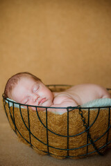 newborn baby in a basket