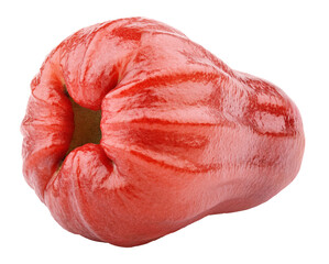 Rose apple or chomphu isolated on transparent background