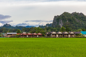 Farmer's village in rural of Laos.
