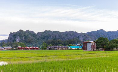 Farmer's village in rural of Laos.