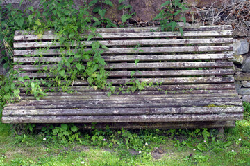 Old bench in graveyard - Cromarty - Black Isle - Highland - Scotland - UK