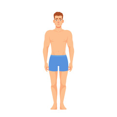 Man Wearing Panties Standing Front View Isolated On White Background. Concept For Anatomy Education, Gender