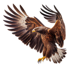 eagle in flight on a transparent background For decorating projects easily. generative AI