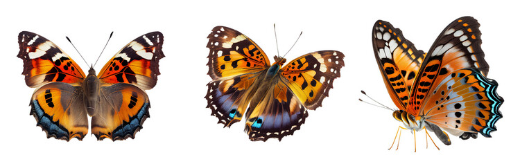 butterfly on a transparent background For decorating projects easily. generative AI