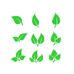 green leaves icon set vector
