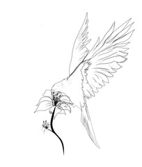 black silhouette of a sketch of a bird approaching a flower on a white background