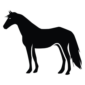 horse silhouette black vector. wildlife silhouettes