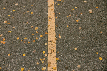 yellow line on asphalt with fall leaves - Powered by Adobe