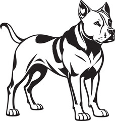 Illustration of a fierce black and white fighting dog, possibly a pit bull, Staffordshire, or mastiff, captured in monochrome