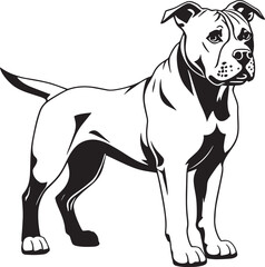 Illustration of a fierce black and white fighting dog, possibly a pit bull, Staffordshire, or mastiff, captured in monochrome