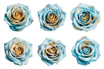 Assorted blue rose flower heads with gold glitter splatter on transparent PNG background. Generative AI.