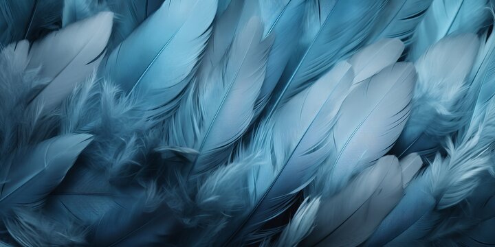 Feather Backgrounds