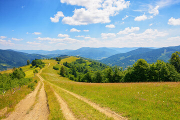 trail through rural fields and meadows on the hills. carpathian countryside in summer with mountain range in the distance. sunny afternoon weather © Pellinni