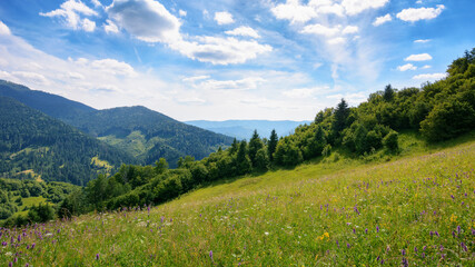 Naklejka na ściany i meble mountain landscape with grassy meadow. trees on the hills and rural valley in the distance beneath a blue sky with clouds