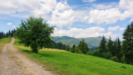 rural road through green meadows on rolling hills. hiking through carpathian rural area. mountain landscape in summer on a sunny day. ridge in the distance