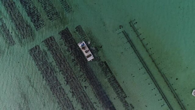 Parc conchylicole des &icirc;les Chauisey